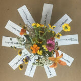 Some of our Garden Flowers with their Names