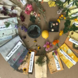 Some of our Garden Flowers with their Names - and their Colors on Cotton