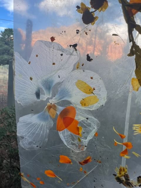 Plants on Plastic