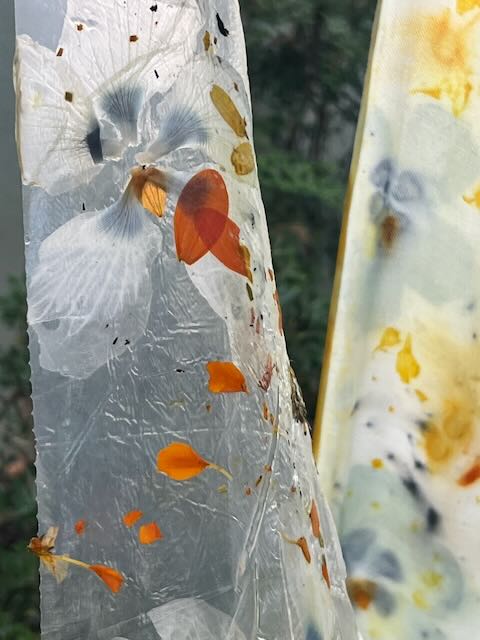 Plants on Plastic