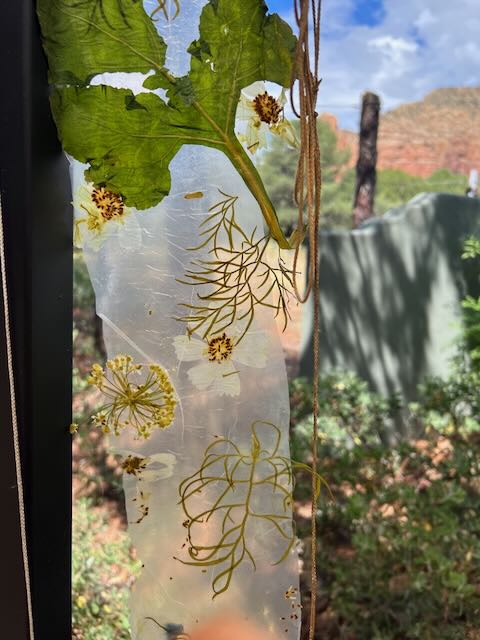 Plants on Plastic