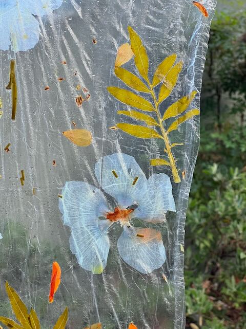 Plants on Plastic